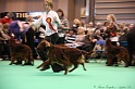 Crufts2011 900